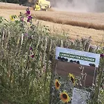 Gemuetliche Auf Dem Resthof Ahrensbok